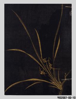 난초  대표이미지