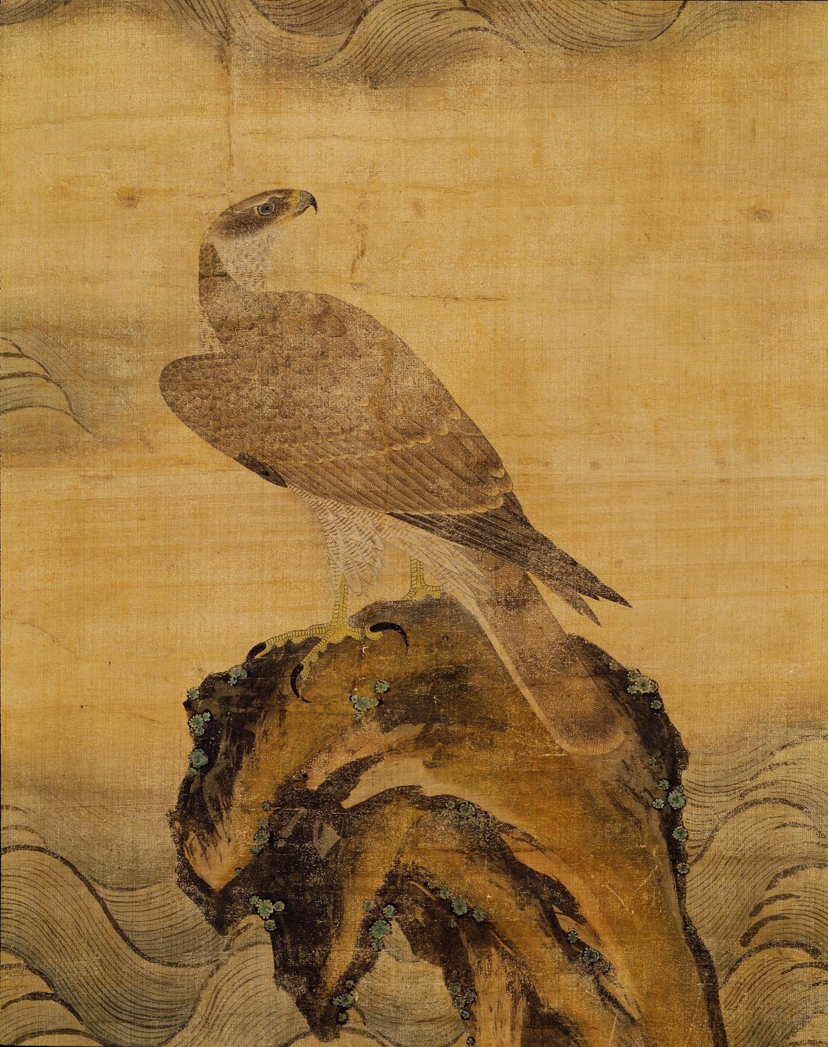 해 뜨는 바닷가의 매 대표이미지