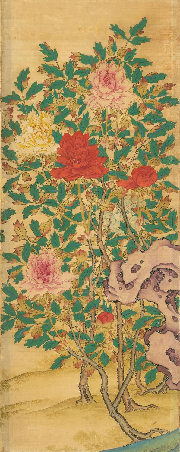 모란 대표이미지